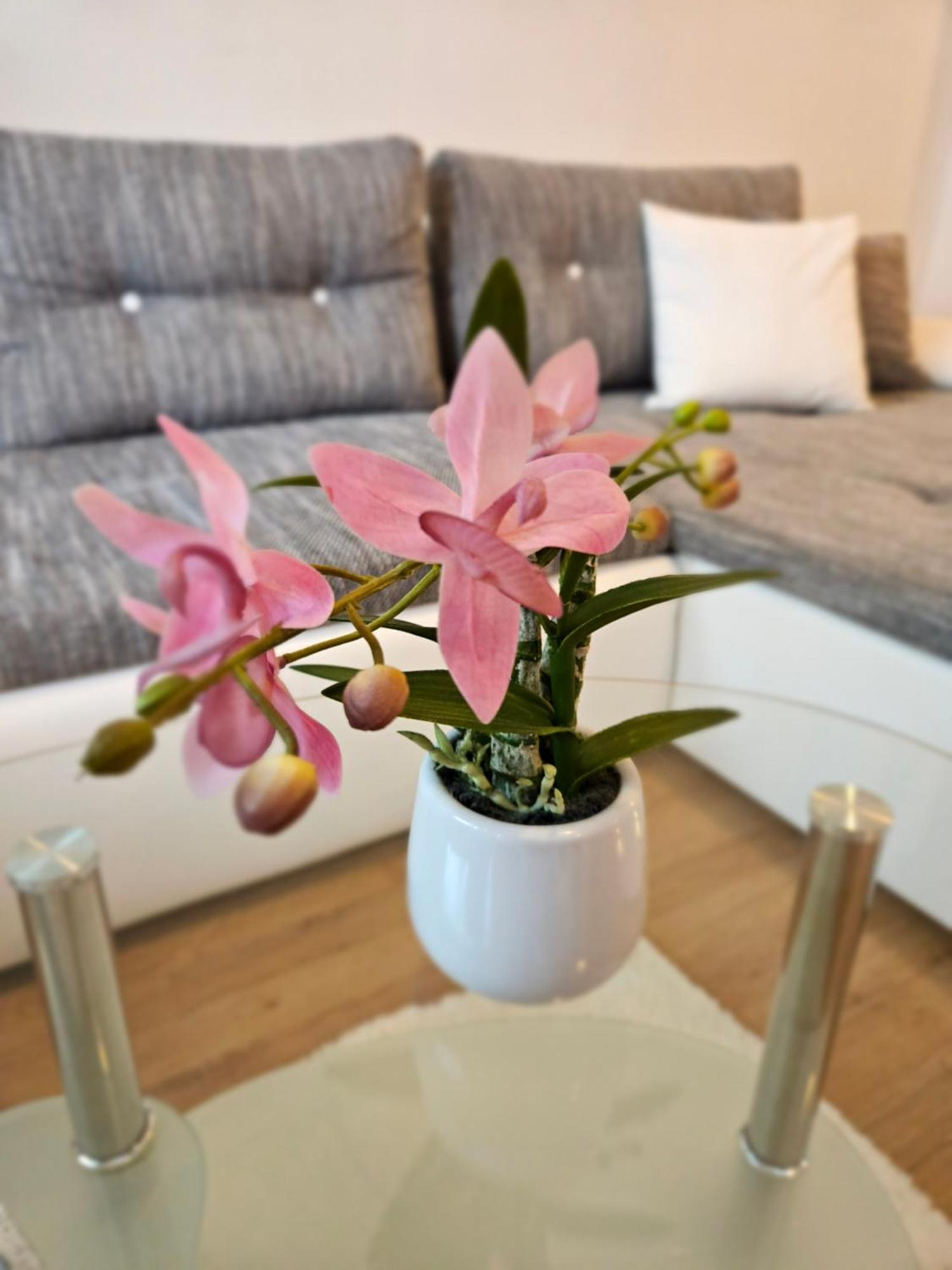 Apartment Zoya クランスカゴーラ エクステリア 写真