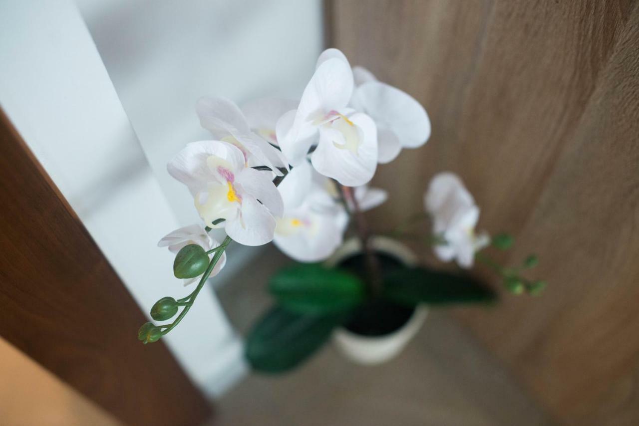 Apartment Zoya クランスカゴーラ エクステリア 写真